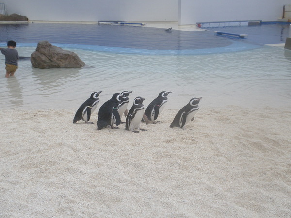 大分マリーンパレス水族館 うみたまご の写真一覧 3ページ目 じゃらんnet