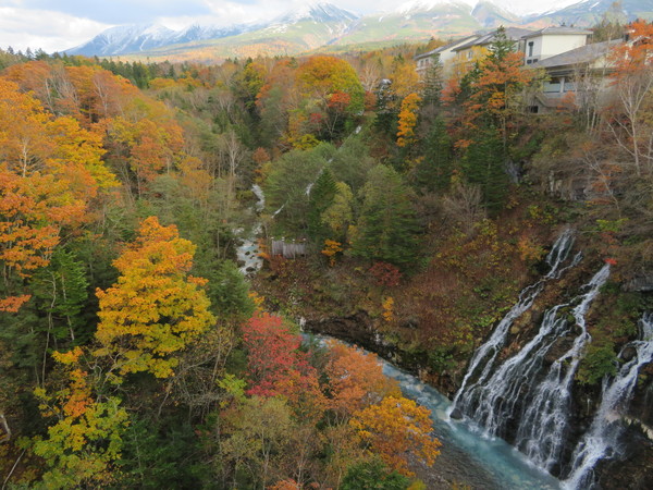 ���Ђ��̑�