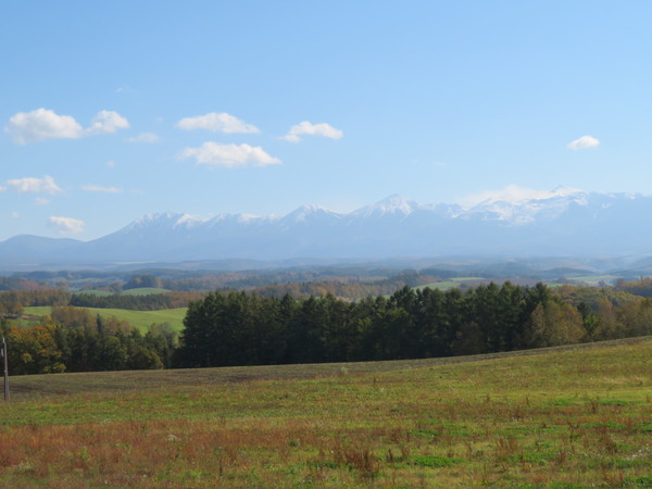 �[�R���W�]��