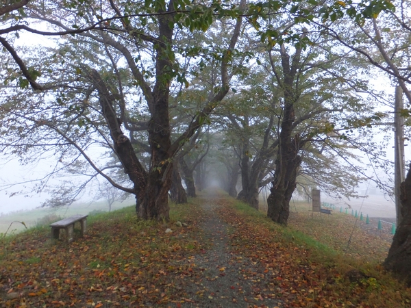 �O�ؓ����̍�����