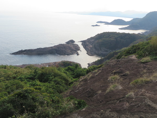 �N���X�̊C