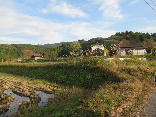 ���̏h�Ƃ݂�