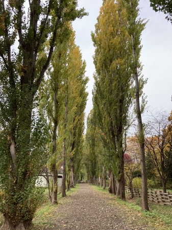 �k�C����w