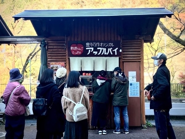 ܓc ꖡ̏h LN AbvpC@