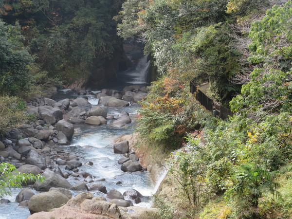 �����_����