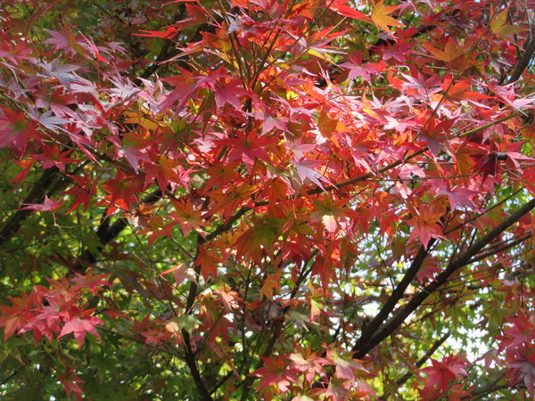 �����_����