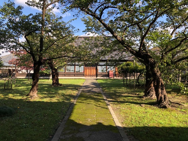 �V���c�����ʂ�̊X����