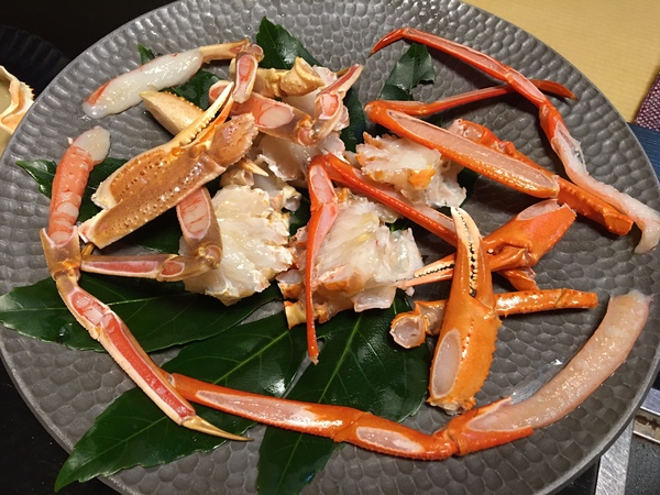 ���{�[�z�S�I�̉���h�@�O���\��