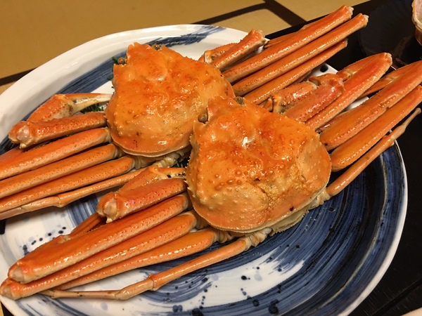 ���{�[�z�S�I�̉���h�@�O���\��