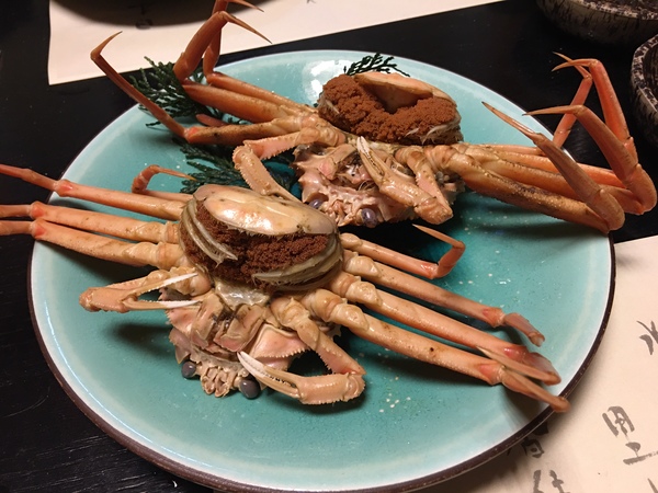 ���{�[�z�S�I�̉���h�@�O���\��