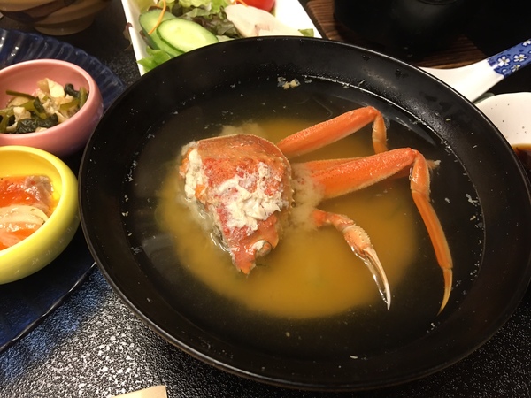 ���{�[�z�S�I�̉���h�@�O���\��