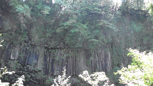 �����_����