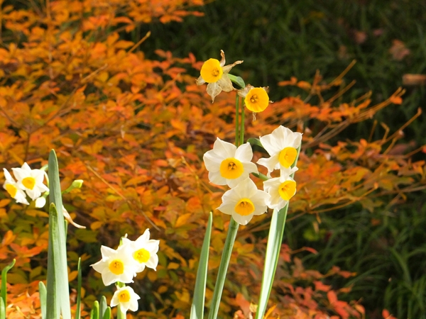 �뉀(�����@�j