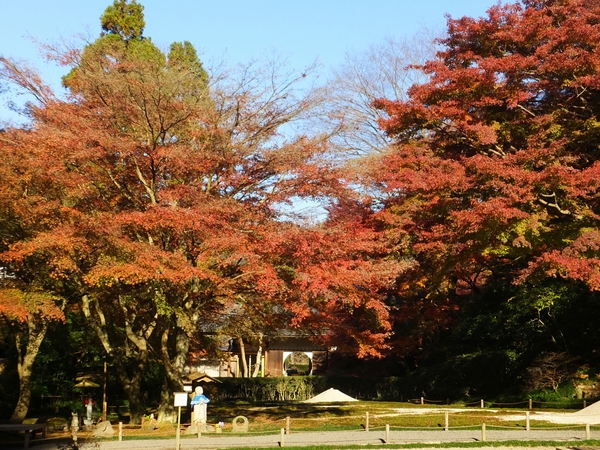 �뉀(�����@�j