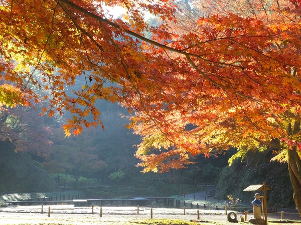 �뉀(�����@�j