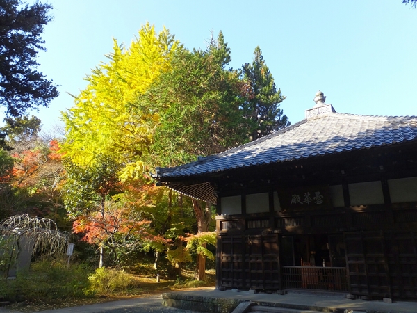 ���a (��q��)