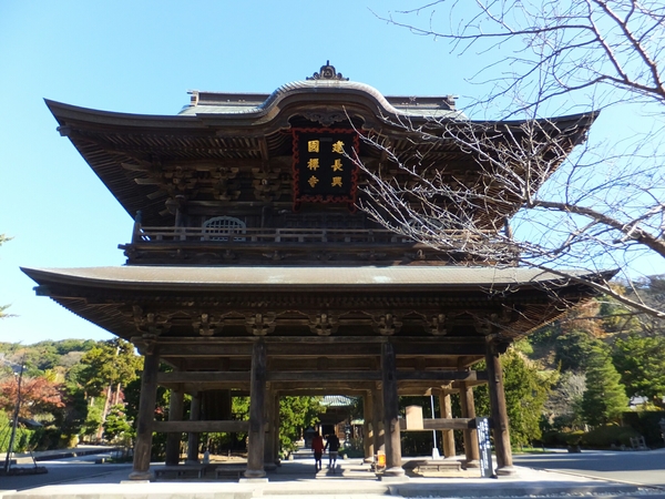 �������O��