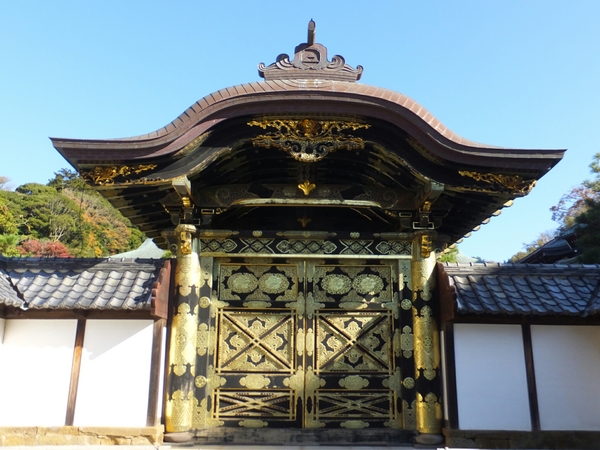 ����(�������j