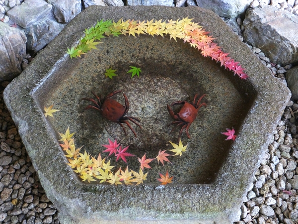 ����b�ώR��