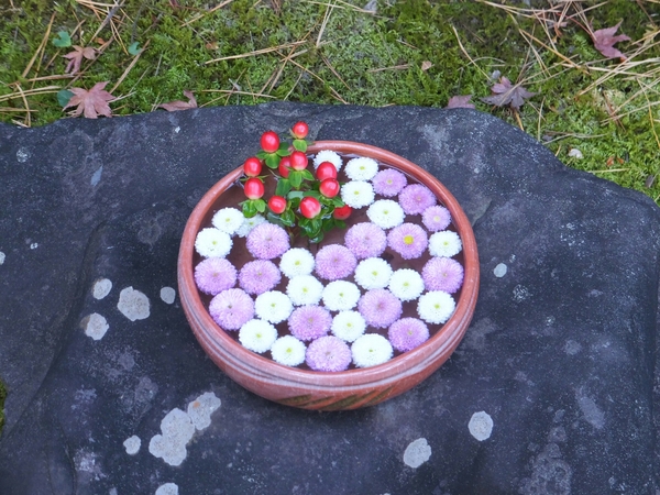 ����b�ώR��