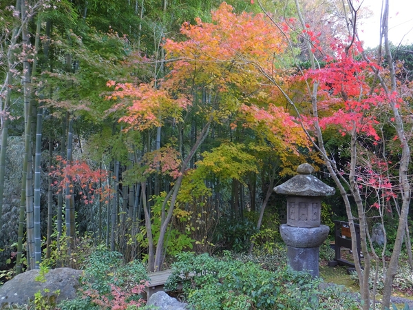 ����b�ώR��