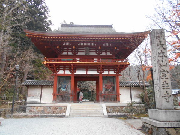 �������m����