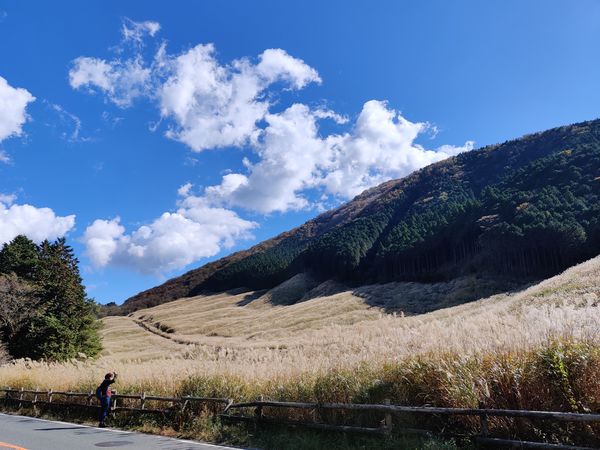 ��Ό�����