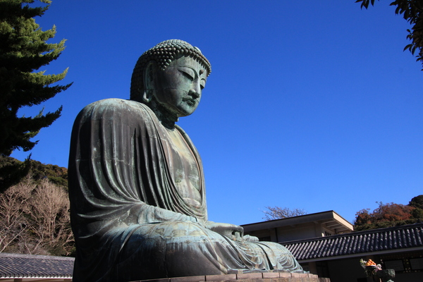 高徳院 鎌倉大仏 の写真一覧 じゃらんnet