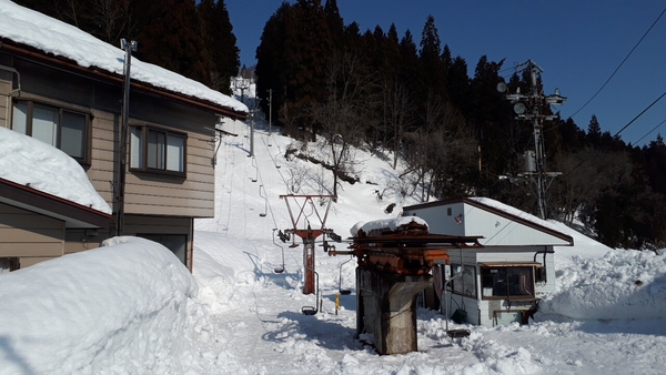 Mt�O�����r���[