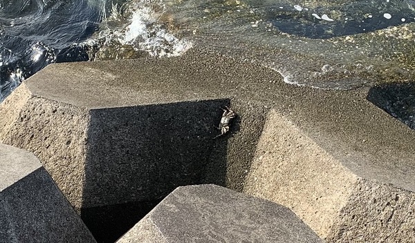 �g�̏イ�݂�������@�g�̏�r�[�`