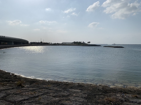 �g�̏イ�݂�������@�g�̏�r�[�`