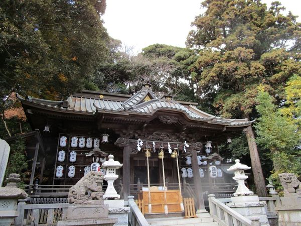 ���P�_��