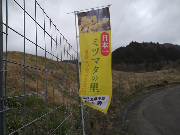 ��q�̗� �~�c�}�^�̐X