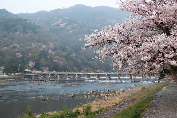 渡月橋の写真一覧 じゃらんnet