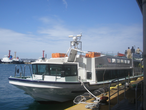 �֖�C���A���D