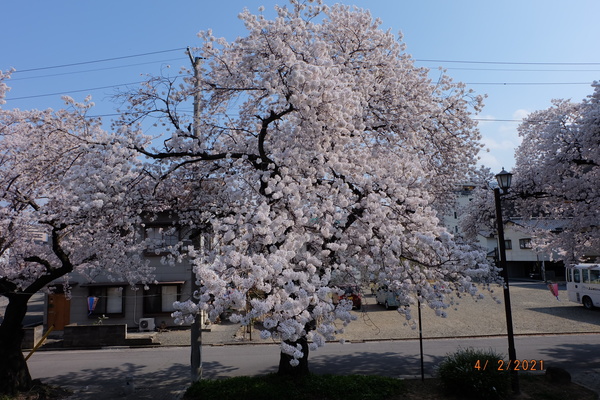 ��R�c��������