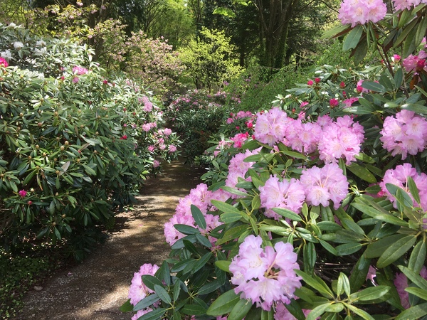 ��Í]�V���N�i�Q��