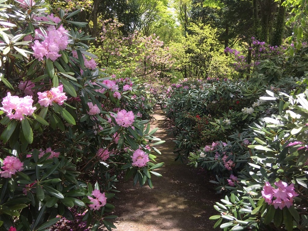 ��Í]�V���N�i�Q��