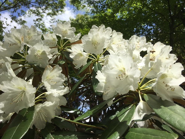 ��Í]�V���N�i�Q��