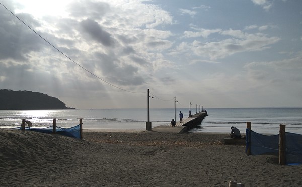 �����C������