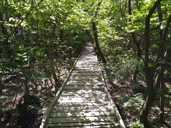 �^�f������