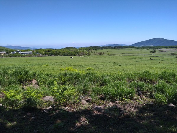 �^�f������