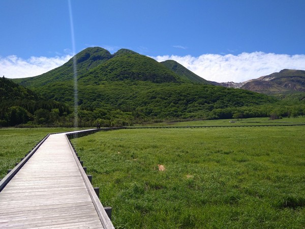 �^�f������