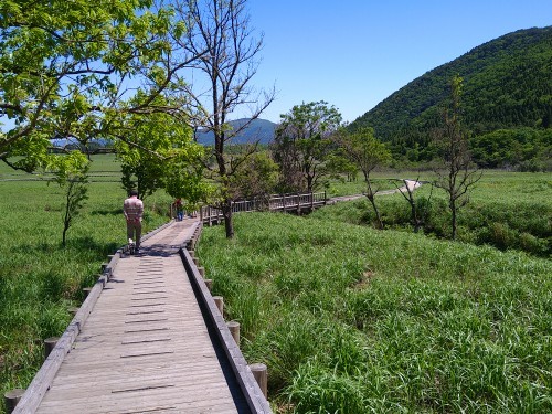 �^�f������