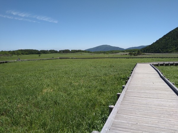 �^�f������