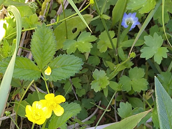 �^�f������