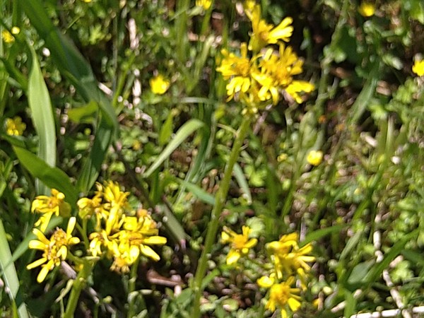 �^�f������