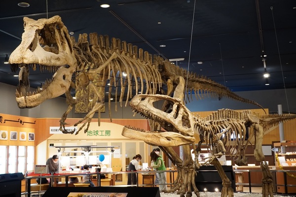 ���É��s�Ȋw��