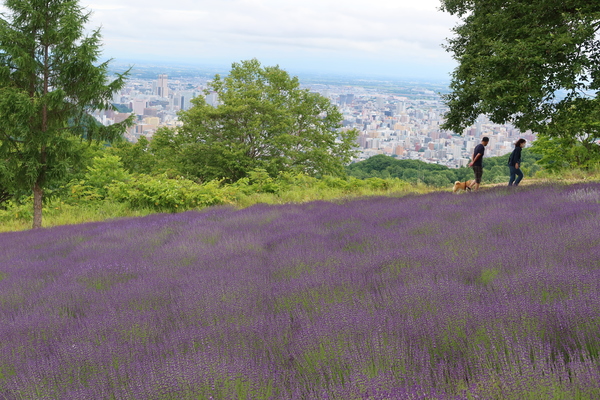 �y�����W�]���ԏ�