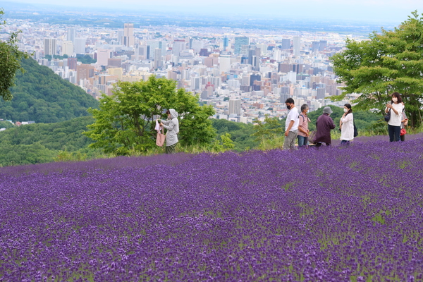 �y�����W�]���ԏ�